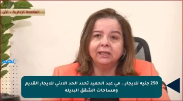 250 جنيه للإيجار.. مي عبد الحميد تحدد الحد الأدنى للإيجار القديم ومساحات الشقق البديلة
